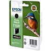 Картридж T1591 C13T15914010 для Epson Stylus Photo R2000 фото-черный Картридж T1591 C13T15914010 для Epson Stylus Photo R2000 фото-черный